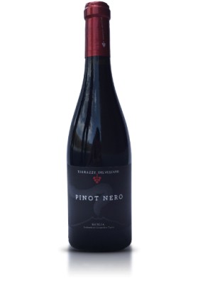 Pinot Nero Terrazze 2011