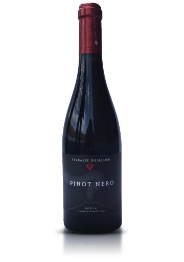 Pinot - Nero - maxervice - sicilia